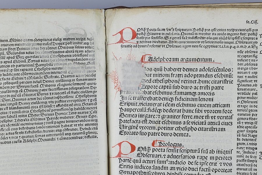 Das Bild zeigt einen Ausschnitt der aufgeschlagenen Inkunabel von 1490. Man sieht auf beiden Seiten den gedruckten Text in schwarzer und roter Farbe und erkennt einzelne Schäden wie helle Flecken, unter denen der Text nicht mehr lesbar ist. 