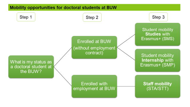 Mobilities for doctoral candidates at BUW: Step 1: What status do I have as a doctoral candidate at BUW? Step 2: Enrolled at BUW (without employment contract): Step 3: Student mobility study with Erasmus+ (SMS) long-term and short-term mobility or student mobility internship with Erasmus+ (SMP). Step 2: Enrolled with employment at BUW: Step 3: Staff mobility (STA/STT).